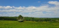 20230521 124531 Fahrt nach Oxford &ndash; &copy; Marlies Thrum (Eberhardt TRAVEL)