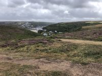 Redruth - Erikaheide &ndash; &copy; Sabine C. Seifert (Eberhardt TRAVEL)