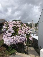 Fowey  &ndash; &copy; Sabine C. Seifert (Eberhardt TRAVEL)