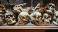 079 – Harry Potter Studio Tour &ndash; &copy; Vivien Fiedler (Eberhardt TRAVEL)