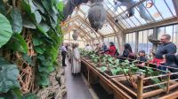 103 – Harry Potter Studio Tour &ndash; &copy; Vivien Fiedler (Eberhardt TRAVEL)