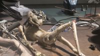 108 – Harry Potter Studio Tour &ndash; &copy; Vivien Fiedler (Eberhardt TRAVEL)