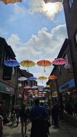York &ndash; &copy; Merle Decker (Eberhardt TRAVEL)