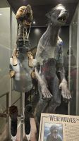 Studios &ndash; &copy; Merle Decker (Eberhardt TRAVEL)