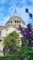 013  St Pauls Cathedral &ndash; &copy; Vivien Fiedler (Eberhardt TRAVEL)