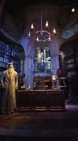 Dumbledore &ndash; &copy; Merle Decker (Eberhardt TRAVEL)
