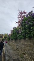Oxford &ndash; &copy; Merle Decker (Eberhardt TRAVEL)