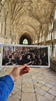 Gloucester Cathedral &ndash; &copy; Merle Decker (Eberhardt TRAVEL)