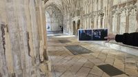 Gloucester Cathedral &ndash; &copy; Merle Decker (Eberhardt TRAVEL)