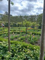Garten Alwnick &ndash; &copy; Merle Decker (Eberhardt TRAVEL)