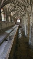 Gloucester &ndash; &copy; Merle Decker (Eberhardt TRAVEL)