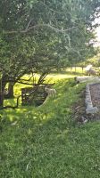 Goathland/ Hogsmead &ndash; &copy; Merle Decker (Eberhardt TRAVEL)