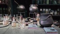 090 – Harry Potter Studio Tour London &ndash; &copy; Vivien Fiedler (Eberhardt TRAVEL)
