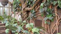 111 – Harry Potter Studio Tour London &ndash; &copy; Vivien Fiedler (Eberhardt TRAVEL)