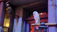 128 – Harry Potter Studio Tour London &ndash; &copy; Vivien Fiedler (Eberhardt TRAVEL)