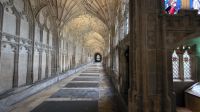 150 – Gloucester Kathedrale &ndash; &copy; Vivien Fiedler (Eberhardt TRAVEL)