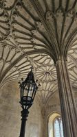 Christ Church &ndash; &copy; Merle Decker (Eberhardt TRAVEL)