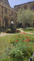 Christ Church &ndash; &copy; Merle Decker (Eberhardt TRAVEL)