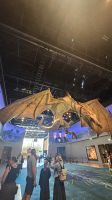 Studios &ndash; &copy; Merle Decker (Eberhardt TRAVEL)