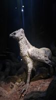 20260526_104729.jpg &ndash; &copy; Merle Decker (Eberhardt TRAVEL)