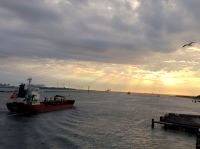 Good bye Holland