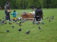 St. James`Park &ndash; &copy; Barbara Pflicke (Eberhardt TRAVEL)