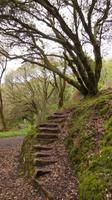 Wanderung zum Rame Head &ndash; &copy; Simone Kaufmann im Auftrag von Eberhardt TRAVEL (Eberhardt TRAVEL)