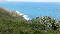 Wanderung zum Rame Head &ndash; &copy; Simone Kaufmann im Auftrag von Eberhardt TRAVEL (Eberhardt TRAVEL)