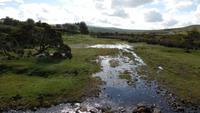 Dartmoor &ndash; &copy; Simone Kaufmann im Auftrag von Eberhardt TRAVEL (Eberhardt TRAVEL)