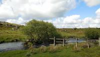 Dartmoor &ndash; &copy; Simone Kaufmann im Auftrag von Eberhardt TRAVEL (Eberhardt TRAVEL)