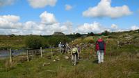 Dartmoor &ndash; &copy; Simone Kaufmann im Auftrag von Eberhardt TRAVEL (Eberhardt TRAVEL)