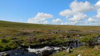 Dartmoor &ndash; &copy; Simone Kaufmann im Auftrag von Eberhardt TRAVEL (Eberhardt TRAVEL)