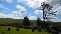 Dartmoor &ndash; &copy; Simone Kaufmann im Auftrag von Eberhardt TRAVEL (Eberhardt TRAVEL)