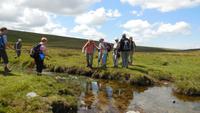 Dartmoor &ndash; &copy; Simone Kaufmann im Auftrag von Eberhardt TRAVEL (Eberhardt TRAVEL)