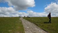 Dartmoor &ndash; &copy; Simone Kaufmann im Auftrag von Eberhardt TRAVEL (Eberhardt TRAVEL)