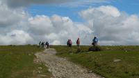 Dartmoor &ndash; &copy; Simone Kaufmann im Auftrag von Eberhardt TRAVEL (Eberhardt TRAVEL)