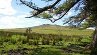 Dartmoor &ndash; &copy; Simone Kaufmann im Auftrag von Eberhardt TRAVEL (Eberhardt TRAVEL)