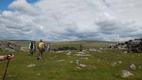 Dartmoor &ndash; &copy; Simone Kaufmann im Auftrag von Eberhardt TRAVEL (Eberhardt TRAVEL)