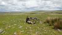 Dartmoor &ndash; &copy; Simone Kaufmann im Auftrag von Eberhardt TRAVEL (Eberhardt TRAVEL)