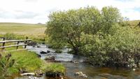 Dartmoor &ndash; &copy; Simone Kaufmann im Auftrag von Eberhardt TRAVEL (Eberhardt TRAVEL)