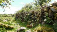 Dartmoor &ndash; &copy; Simone Kaufmann im Auftrag von Eberhardt TRAVEL (Eberhardt TRAVEL)