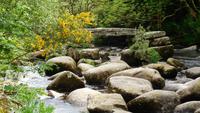 Dartmeet &ndash; &copy; Simone Kaufmann im Auftrag von Eberhardt TRAVEL (Eberhardt TRAVEL)