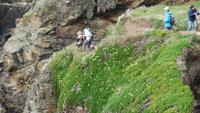 Lizard Peninsula &ndash; &copy; Simone Kaufmann im Auftrag von Eberhardt TRAVEL (Eberhardt TRAVEL)