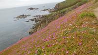 Lizard Peninsula &ndash; &copy; Simone Kaufmann im Auftrag von Eberhardt TRAVEL (Eberhardt TRAVEL)