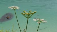 Lizard Peninsula &ndash; &copy; Simone Kaufmann im Auftrag von Eberhardt TRAVEL (Eberhardt TRAVEL)