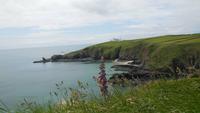 Lizard Peninsula &ndash; &copy; Simone Kaufmann im Auftrag von Eberhardt TRAVEL (Eberhardt TRAVEL)