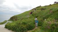 Lizard Peninsula &ndash; &copy; Simone Kaufmann im Auftrag von Eberhardt TRAVEL (Eberhardt TRAVEL)