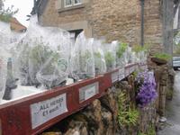 Lacock &ndash; &copy; Anne Sturm (Eberhardt TRAVEL)