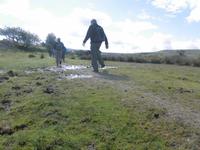 Im Dartmoor &ndash; &copy; Anne Sturm (Eberhardt TRAVEL)