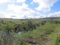 Im Dartmoor &ndash; &copy; Anne Sturm (Eberhardt TRAVEL)